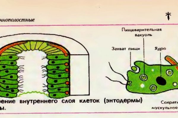 Пользователь не найден на кракене